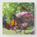 Zoek naar paarse vlinder klokken Voor iedereen