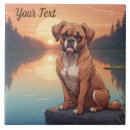 Zoek naar boxer dog tegels Bokser