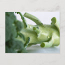 Zoek naar broccoli briefkaarten Voedsel