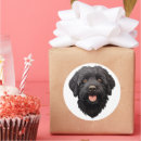 Zoek naar zwarte labradoodle stickers Doekje