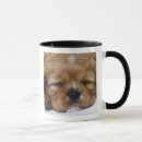 Zoek naar cavalier king charles spaniel mokken Hond