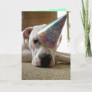 Zoek naar bully kaarten Puppy