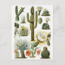 Zoek naar classic briefkaarten Klassiek