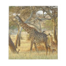 Zoek naar giraffe notitieblokken Baby
