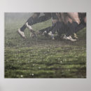 Zoek naar rugbyspeler posters Mensen
