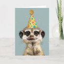 Zoek naar meerkat kaarten Verjaardagskaart