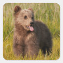 Zoek naar leuke afbeeldingen stickers Grappig