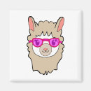 Zoek naar lama magneten Andes