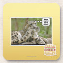 Zoek naar waarom onderzetters Ik kan cheezburger hebben