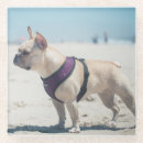 Zoek naar strand onderzetters Fotografie