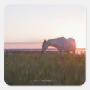 Zoek naar velde stickers Platteland