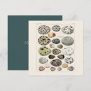 Zoek naar vogeleieren briefkaarten Prullenbak