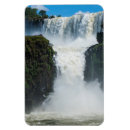 Zoek naar iguazu herfsten magneten Leguaan