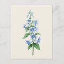 Zoek naar redouté briefkaarten Bloem