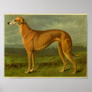 Zoek naar windhond kunst Gezelschapsdieren