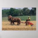Zoek naar landbouw posters Paard