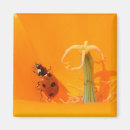 Zoek naar ladybug magneten Bloemen