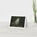 Zoek naar winterkoninkje briefkaarten Voor iedereen