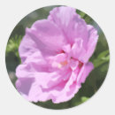 Zoek naar dubbelen stickers Liefde