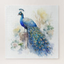 Zoek naar peacock puzzels Kleurrijk