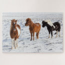 Zoek naar ijslands paard puzzels Winter