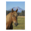 Zoek naar lisa kunst Natuur