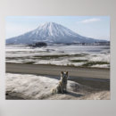 Zoek naar shiba inu puppy posters Hond