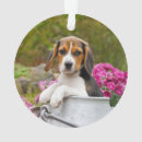 Zoek naar beagle ornamenten Puppy