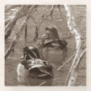 Zoek naar houten eend onderzetters Wild