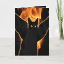 Zoek naar enge katten kaarten Kwade kat