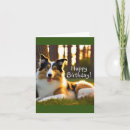 Zoek naar lassie hond posters Gezelschapsdieren
