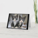 Zoek naar tweeling katten kaarten Katje