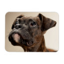 Zoek naar lichaamsdelen magneten Lichaamsdeel van dieren