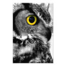 Zoek naar bubo virginianus posters Natuur