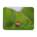 Zoek naar ladybug magneten Horizontaal