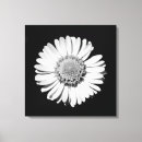 Zoek naar bloemen zwart wit kunst Elegant