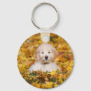 Zoek naar goldendoodle sleutelhangers Dog