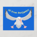 Zoek naar albatross briefkaarten Vogel