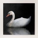Zoek naar zwarte zwaan puzzels Water