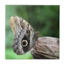 Zoek naar butterfly tegels Keramisch