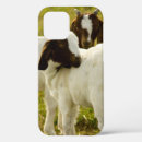 Zoek naar geiten iphone hoesjes Platteland
