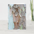 Zoek naar boomschors kaarten Natuur