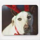 Zoek naar kerstmis humor muismatten Hond