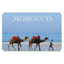 Zoek naar kameel magneten Afrika