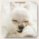 Zoek naar speelgoed honden onderzetters Schattig