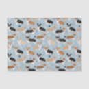 Zoek naar corgi tissue papier Pembroke welsh corgi