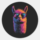 Zoek naar drama lama stickers Kleurrijk