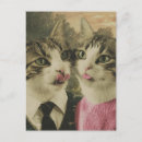 Zoek naar twee katten briefkaarten Feliene