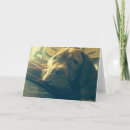 Zoek naar dogue de bordeaux kaarten Knoeister
