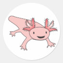 Zoek naar salamanders stickers Schattig